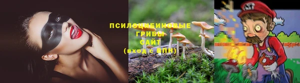 дмт Баксан